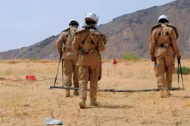 عاملون في مشروع «مسام» السعودي يقومون بتمشيط منطقة يمنية ملوثة بالألغام (مشروع مسام)