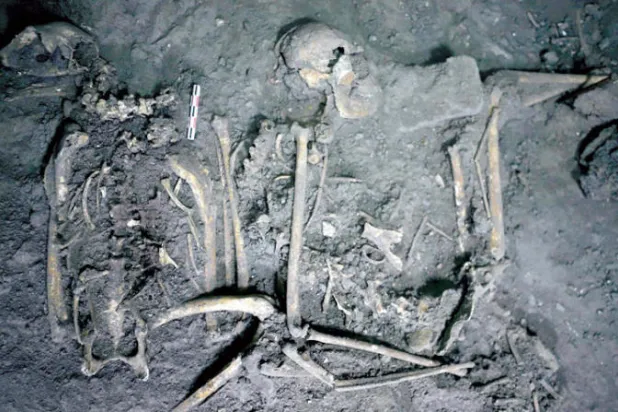 بقايا هيكل عظمي عمره 1700 عام لقرد عنكبوت أنثى (أ.ف.ب)