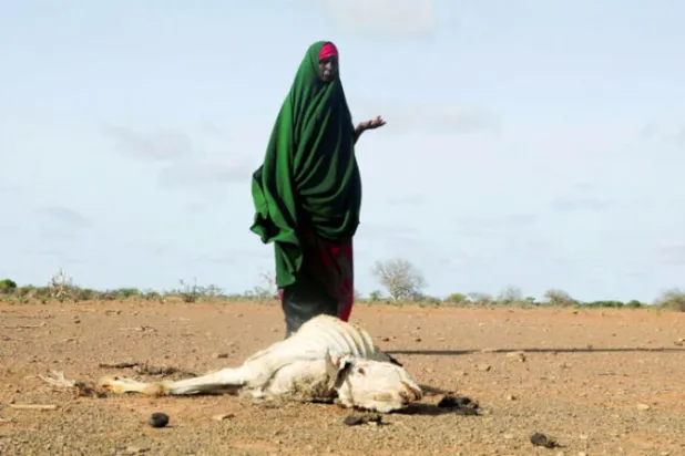 نازحة قرب جيفة حيوان في منطقة ضربها الجفاف في الصومال في 26 مايو الماضي (رويترز)