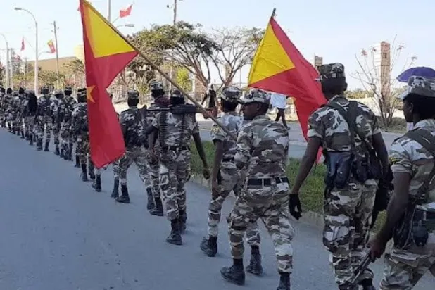 TPLF’nin kendi ordusunu kurması Kasım 2020’de kendisi ile merkezi hükümet arasında savaşın patlak vermesine yol açtı (Sosyal medya organları)