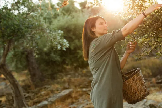 من محبي شجرة الزيتون الذين يستقبلون يومها العالمي بذكريات الماضي وتحديات الحاضر (المصدر: رابطة محبي شجر الزيتون باليونان «mia elia»)