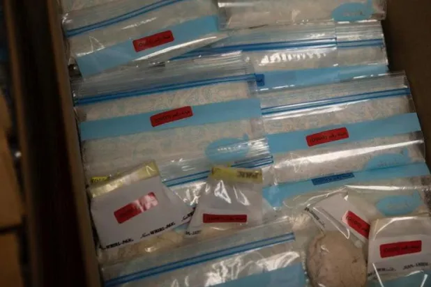 عيّنة من الخبز المضبوط