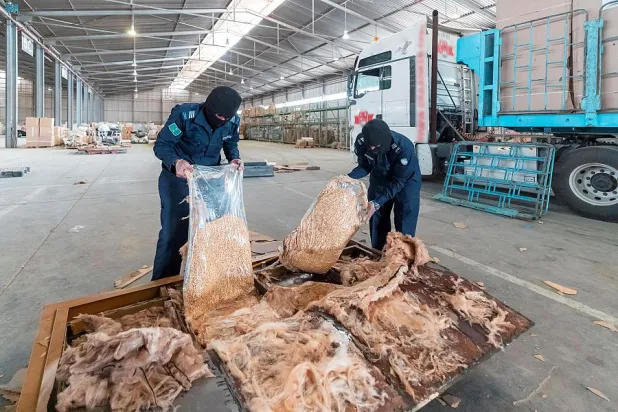 حبوب أُخفيت في تجاويف «أبواب» عُثر عليها داخل إرسالية وردت عبر منفذ الربع الخالي (واس)