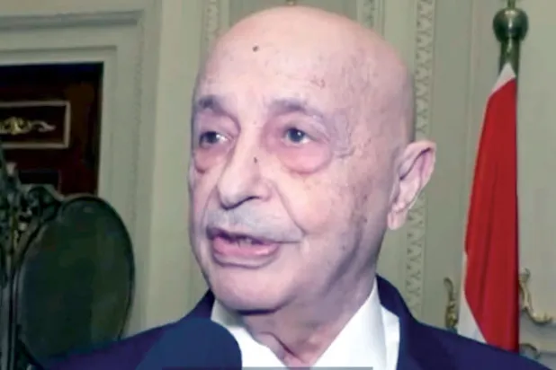 صورة لرئيس مجلس النواب الليبي عقيلة صالح من مقطع فيديو خلال وجوده بمجلس النواب المصري (موقع البرلمان الليبي)