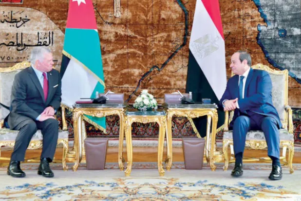 السيسي والملك عبد الله خلال لقائهما في القاهرة (رئاسة الجمهورية المصرية)