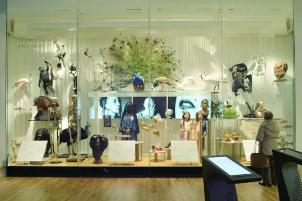 المجموعات مفتوحة لأي شخص يأتي بمشروع بحثي قوي وجاد (نيويورك تايمز)