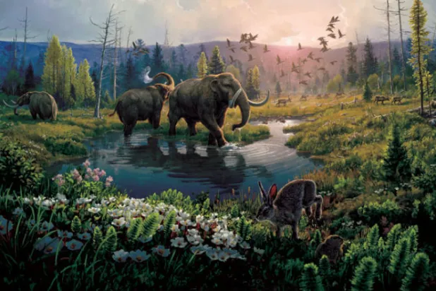 رسم تخييلي توضيحي في غرينلاند قبل مليوني عام (أ.ب)... وفي الإطار جذع شجرة عمره مليونا عام (أ.ف.ب)