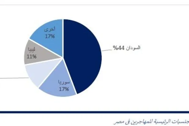 الجنسيات الرئيسية للمهاجرين في مصر (المنظمة الدولية للهجرة)