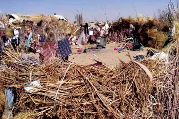 مخيم من القش في محافظة مأرب تسكنه مئات الأسر النازحة (فيسبوك)