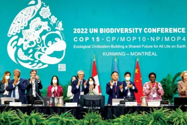 تصفيق في ختام مؤتمر {كوب 15} بعد الإعلان عن التوصل لاتفاق تاريخي في مونتريال (رويترز)