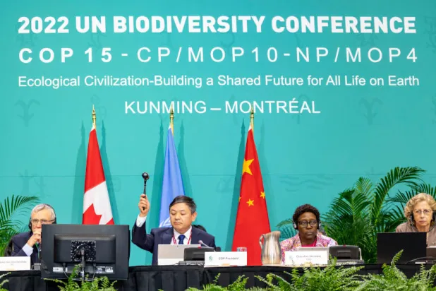 وزير البيئة الصيني هوانغ رونتشيو يعلن التوصل إلى اتفاق (رويترز)