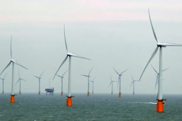 البيئة خلال عام... المكاسب والأضرار