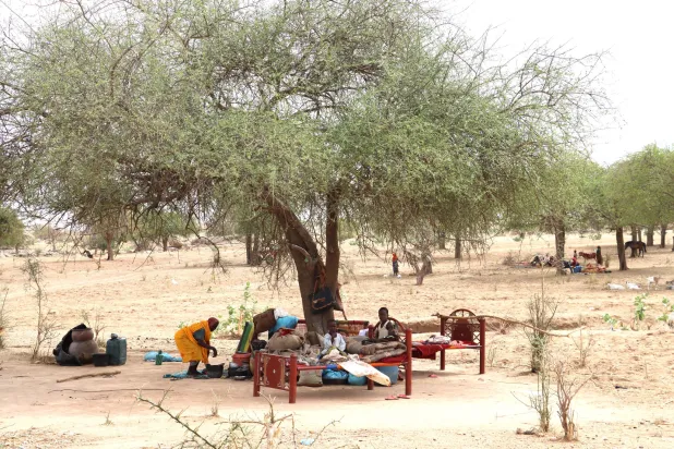 لاجئون سودانيون على الحدود التشادية (مفوضية الأمم المتحدة لشؤون اللاجئين)