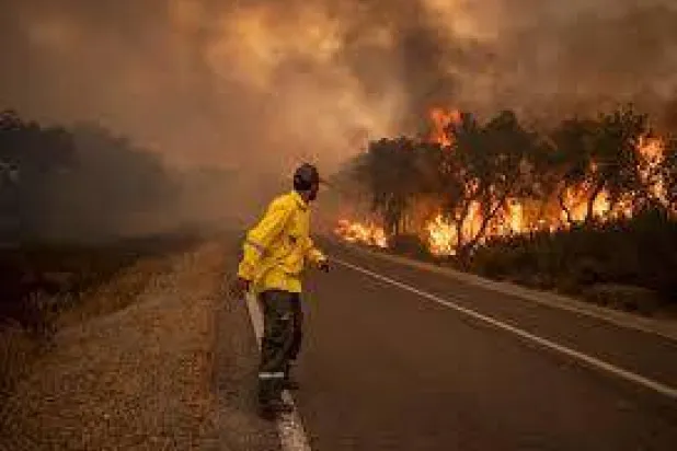 حريق شب في إحدى غابات المغرب سنة 2022 (الشرق الأوسط)