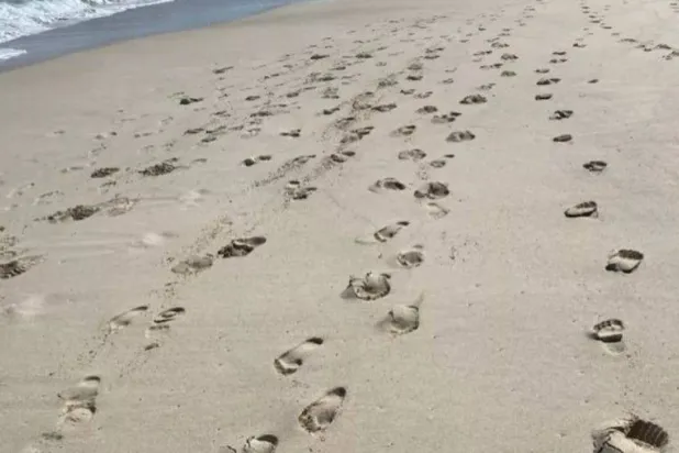 علماء يتمكنون من جمع حمض نووي بشري من الهواء والرمال والمياه