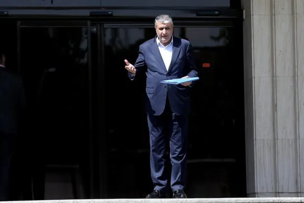 İran Atom Enerjisi Kurumu (İAEK) Başkanı Muhammed İslami. (IRNA)