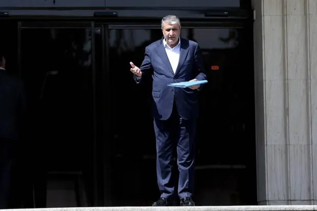 Head of the Iranian Atomic Energy Organization Mohammad Eslami on the sidelines of a cabinet meeting. (IRNA)