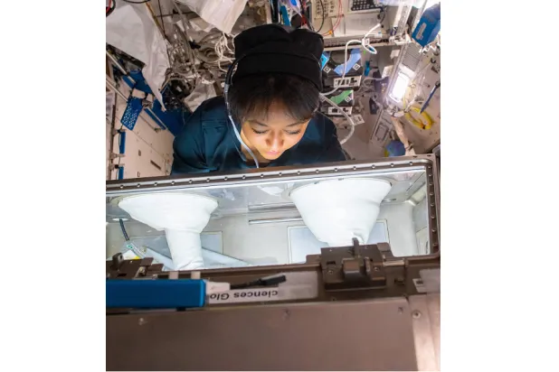 The Saudi astronauts aim to carry out 14 scientific research experiments in several fields during their mission to the ISS.