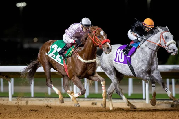 موسم الطائف سيتضمن 486 شوطاً موزعاً على 54 حفلاً حتى أكتوبر المقبل (الشرق الأوسط)