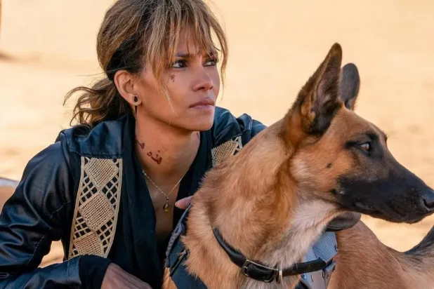 Chad Stahelski, Halle Berry'nin köpeklerle birlikte yer aldığı sahneler için çok çalıştığını ve zorlandığını söylemişti (Lionsgate)