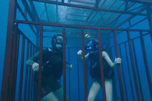 Netflix izleyicileri travmatize oldu: "Bu filmi izlemeyin"