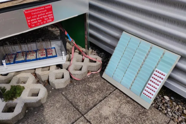 عينات الدم المستخدمة في التجربة (الفريق البحثي)
