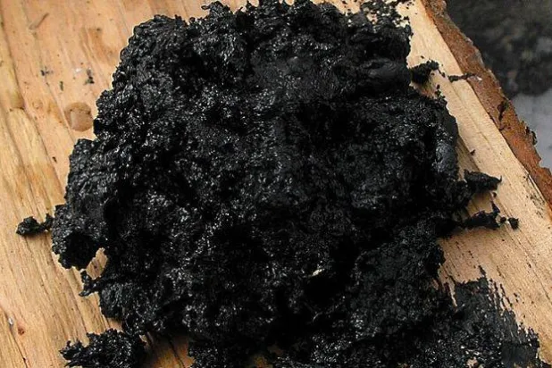 علماء: إنسان النياندرتال قد يكون أول من صنّع القطران الأسود