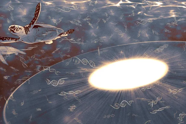 آثار البشر في الطبيعة تخلّف كنوزاً جينية