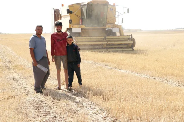 حقول قمح في شمال شرقي سوريا (الشرق الأوسط)