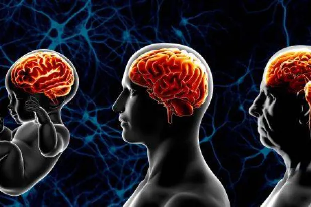 مرض السكري له علاقة بشيخوخة الدماغ (جامعة كاليفورنيا)