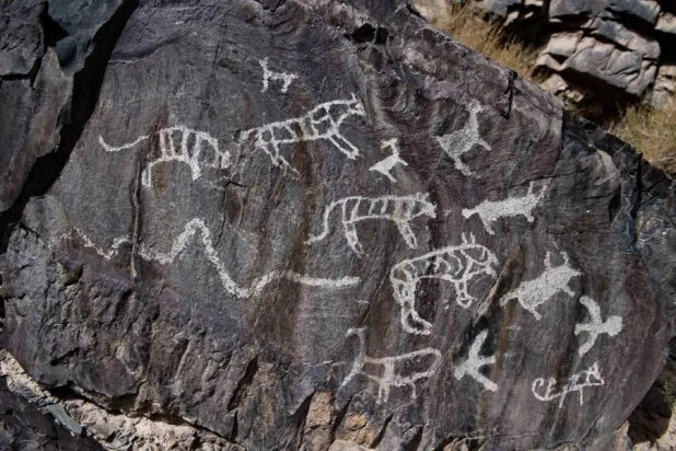 أرشيف رقمي للوحات الصخرية القديمة بمقاطعة صينية