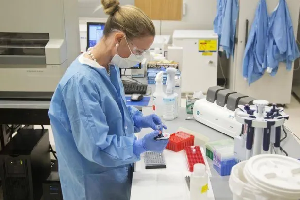 الهياكل الشبيهة بالأجنة البشرية تم إنشاؤها في المختبر باستخدام الخلايا الجذعية (أرشيف - رويترز)