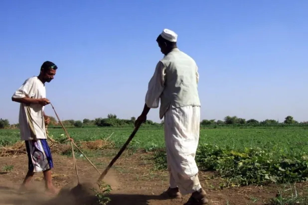 Sudanlı bir çiftçi, Hartum'daki Nil Nehri kıyısındaki arazisini traktörle ekime hazırlıyor (Arşiv-Reuters)