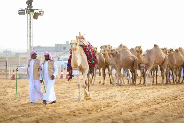 حصل المشارك مبارك العجمي بالفردية «ردة مسكتات الصفر» على المركز الأول (واس)