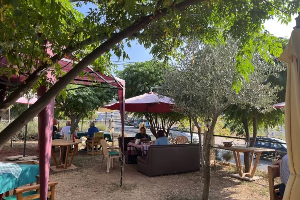 جلسة قروية تحت ظلال الأشجار مع لقمة لبنانية شهية