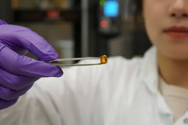 عضو في الفريق البحثي ممسكة بـ«الجل» الجديد (الفريق البحثي)