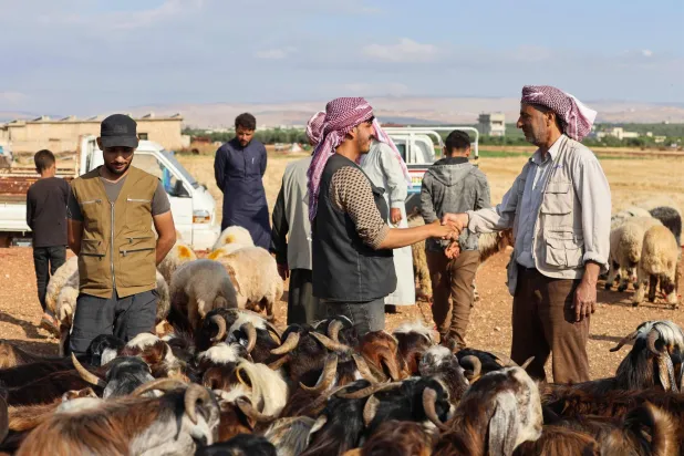 اتفاق على شراء رؤوس غنم في سوق للماشية بمعرة مصرين شمال غربي سوريا (أ.ف.ب)