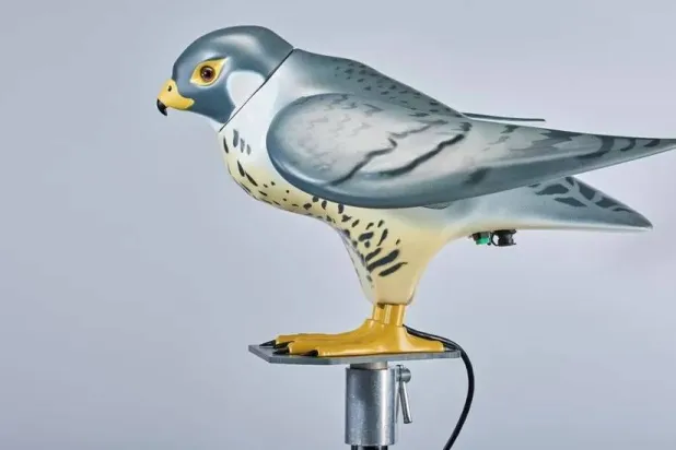 صقر آلي (جون دونالد)