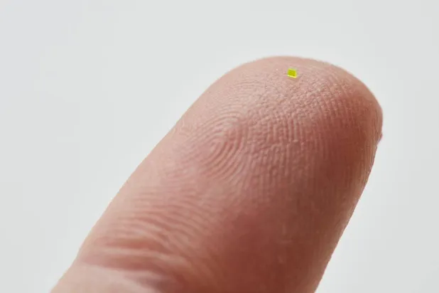 حقيبة اليد بيعت إلى جانب مجهر «يتميز بشاشة رقمية مدمجة» (إنستغرام)