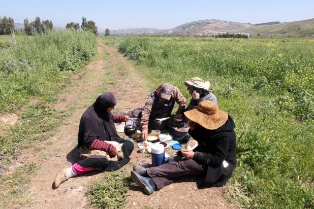 مزارعون لبنانيون يتناولون غداءهم أثناء عملهم في سهل الخيام جنوب لبنان أبريل الماضي (رويترز)