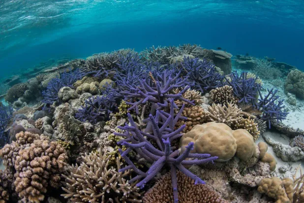 حيد مرجاني سليم في صورة وزعها إنريك سالا (أ.ب)