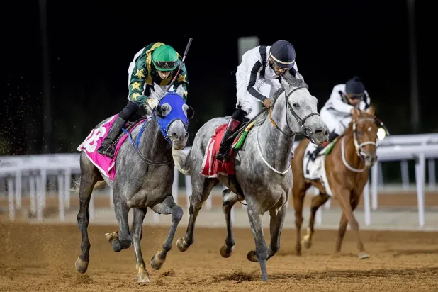 الجواد بأمر الله خلال السباق (الشرق الأوسط)