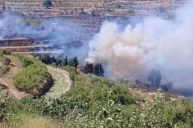  Humus’un Muranah köyünde orman yangını çıktı. (Reuters)