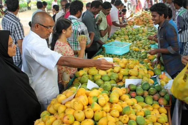 أسواق المانغو في الهند (مكتب دلهي السياحي)
