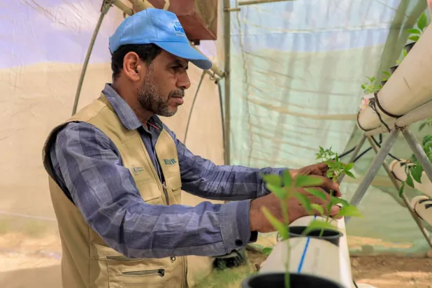 Taiz’de bir BM çalışanı öldürüldü