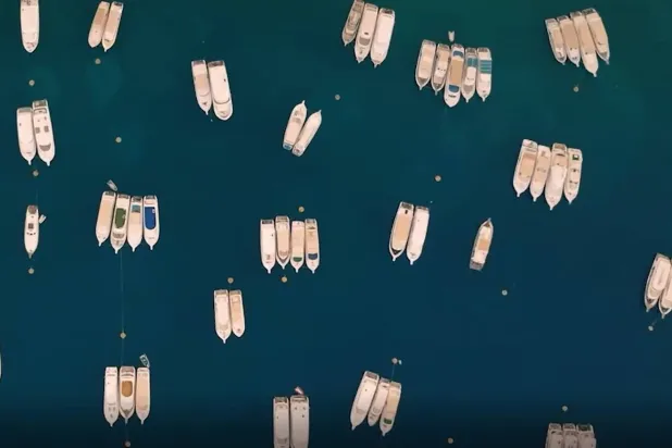 يخوت متعددة في أحد الموانئ المصرية (من فيديو ترويجي لوزارة النقل المصرية)