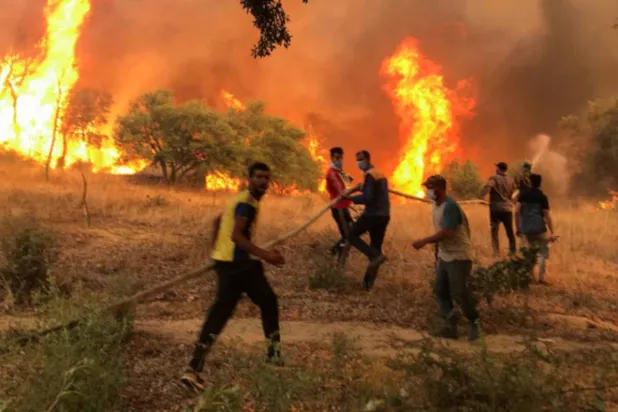 الجزائر میں لوگ آگ بجھانے میں مدد کر رہے ہیں (رائٹرز)