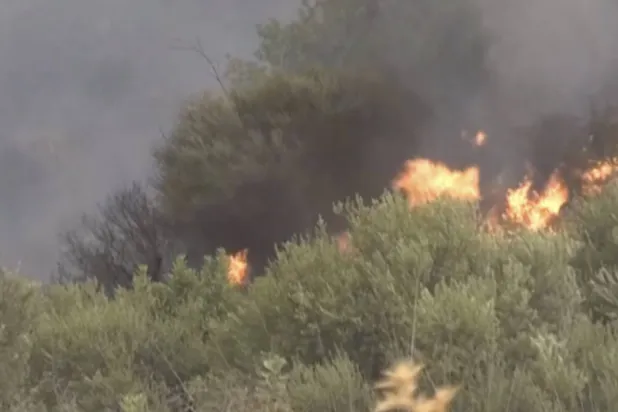 حرائق الغابات تستعر في الزبربر بولاية البويرة الجزائرية (أ.ب)