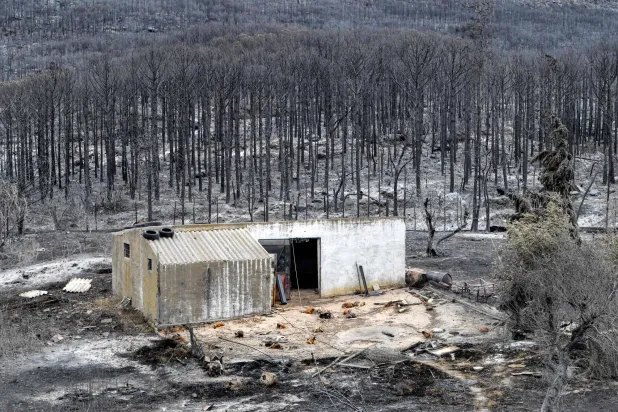 جانب من مخلفات الحرائق التي اندلعت في غابات بلدة ملولة (أ.ف.ب)