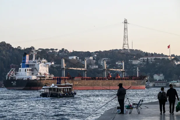 Ukrayna tahılını taşıyan bir kargo gemisi İstanbul Boğazı'ndan Marmara Denizi'ne doğru gidiyor, 2 Kasım 2022 (AFP)